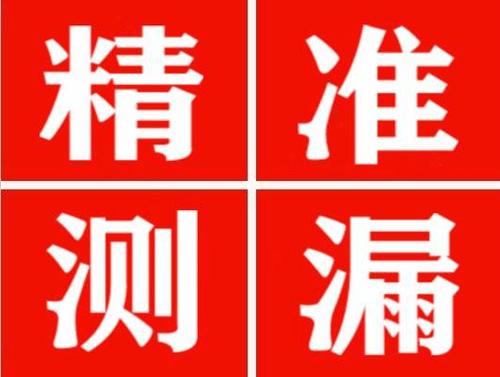 枞阳尚嘉漏水精准查找
