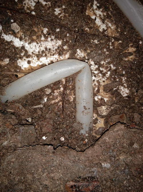 枞阳堵点精准查找